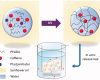 Synthesis of high payload nanohydrogels for the ecapsulation of hydrophilic molecules via inverse miniemulsion polymerization: caffeine as a case study