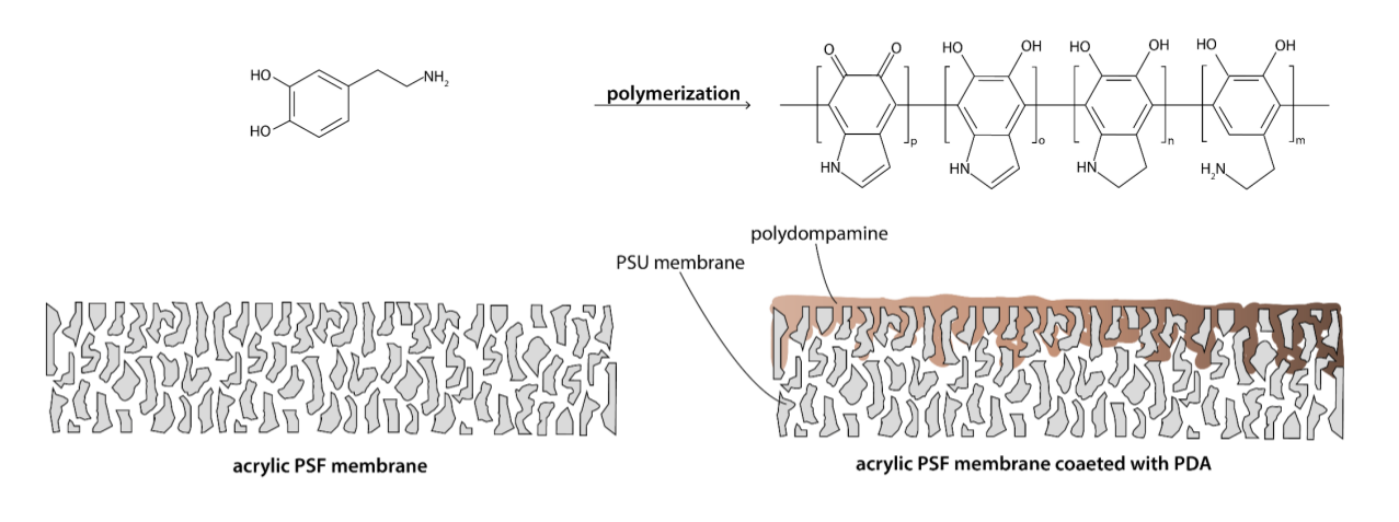 UV cured membranes